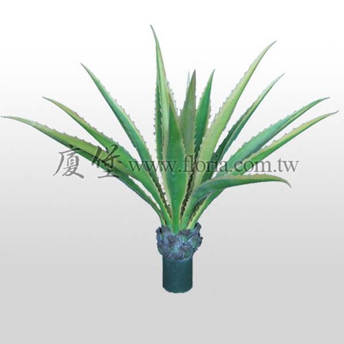 黃邊龍舌蘭  |人造植栽|人造植物 / 植栽