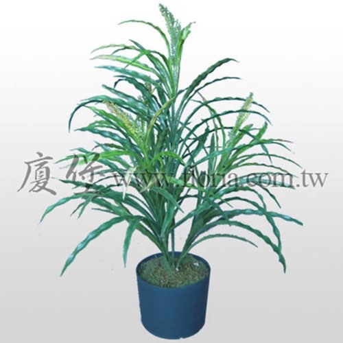 沿階草  |人造植栽|人造植物 / 植栽