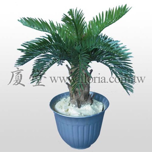 小蘇鐵  |人造植栽|人造植物 / 植栽
