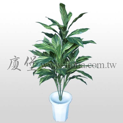 斑葉月桃  |人造植栽|人造植物 / 植栽