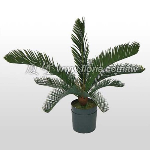 鐵樹  |人造植栽|人造植物 / 植栽