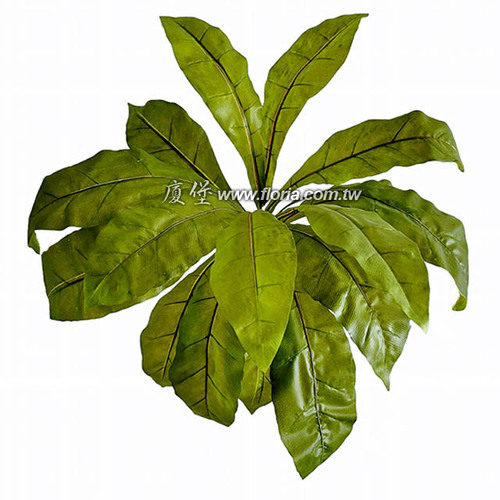 山蘇  |人造植栽|人造植物 / 植栽