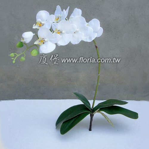 蝴蝶蘭  |人造植栽|人造花