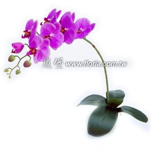 蝴蝶蘭  |人造植栽|人造花