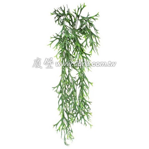 鹿角蕨藤  |人造植栽|人造植物 / 植栽