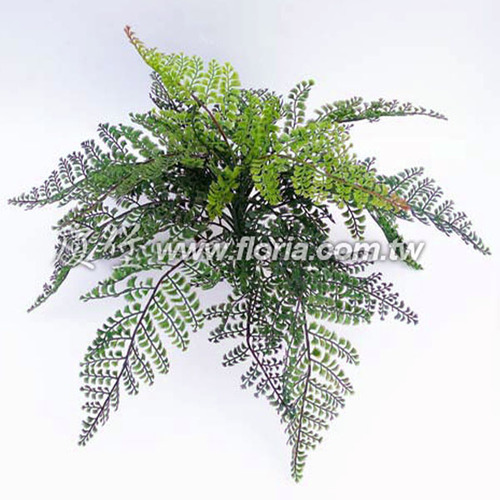 鳳尾蕨  |人造植栽|人造植物 / 植栽