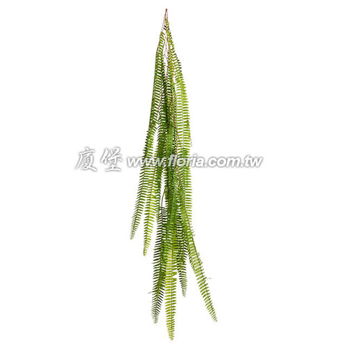 波士頓藤  |人造植栽|人造植物 / 植栽