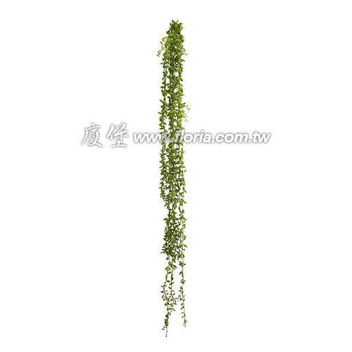 珍珠吊蘭-嬰兒眼淚  |人造植栽|人造藤蔓