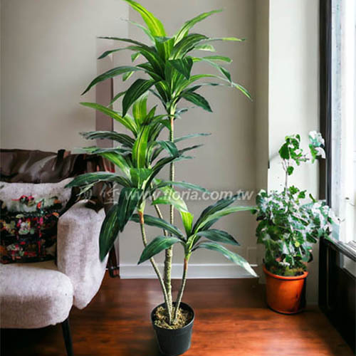 巴西鐵樹130cm  |人造植栽|人造樹