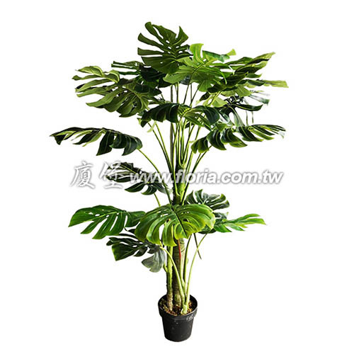 羽裂蔓綠絨150cm  |人造植栽|人造樹