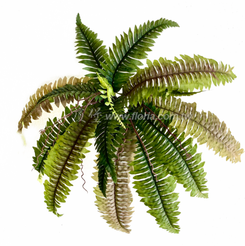雙色波士頓  |人造植栽|人造植物 / 植栽