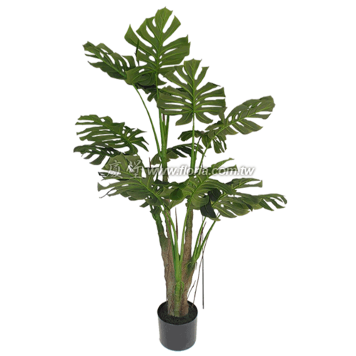 羽裂蔓綠絨170cm  |人造植栽|人造樹