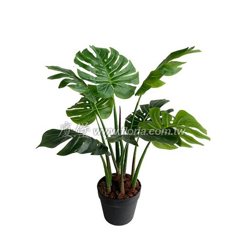羽裂蔓綠絨80cm  |人造植栽|人造樹