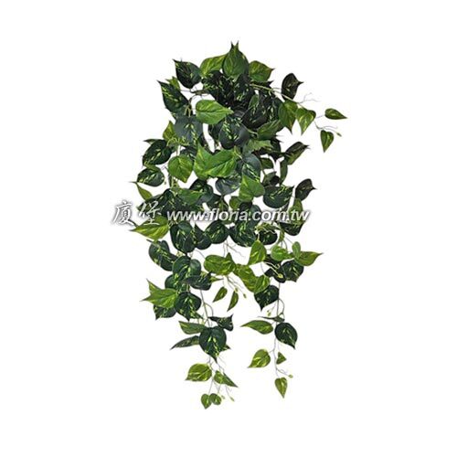 萬年青藤  |人造植栽|人造藤蔓