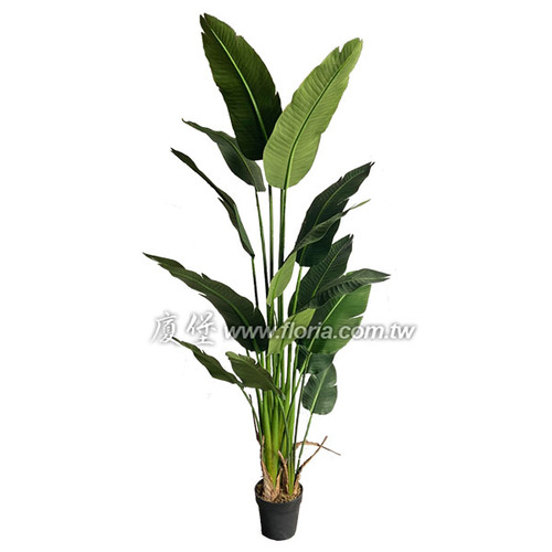 天堂鳥蕉220cm  |人造植栽|人造樹
