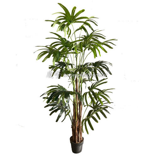 觀音棕竹200cm  |人造植栽|人造樹