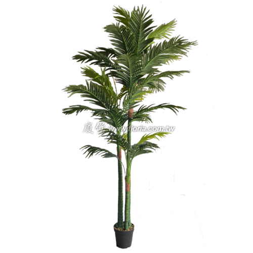 檳榔椰子290cm  |人造植栽|人造樹