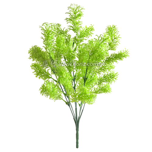 翠雲草 (淺綠)  |人造植栽|人造植物 / 植栽