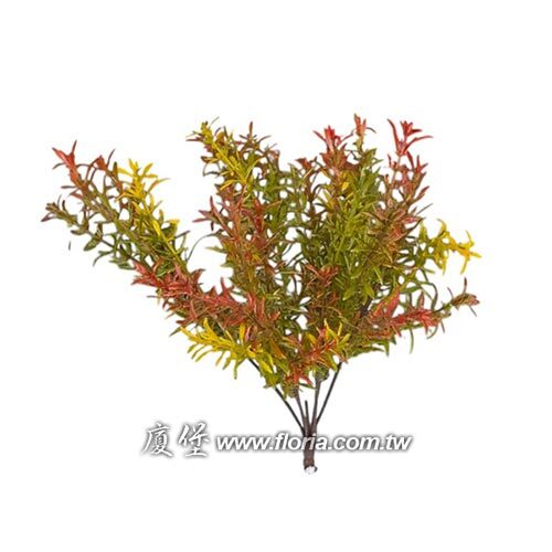 天文冬花束(秋色)  |近期作品|新進產品
