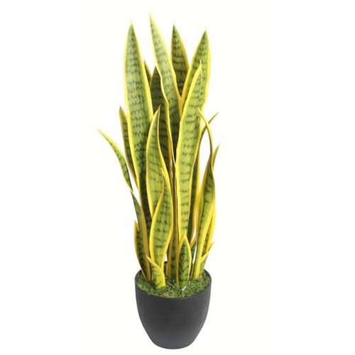 虎尾蘭  |人造植栽|人造植物 / 植栽