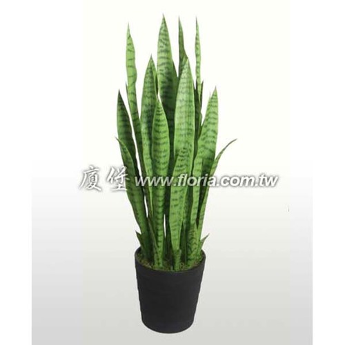 虎尾蘭  |人造植栽|人造植物 / 植栽