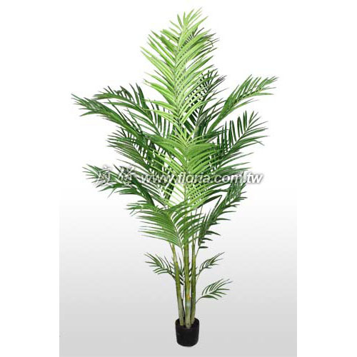 黃金椰子180cm  |人造植栽|人造樹