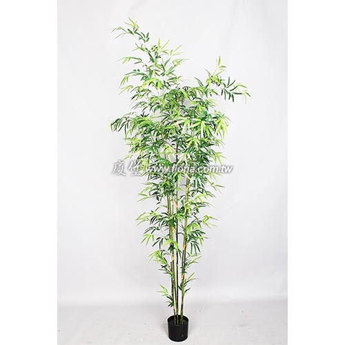 迷你竹210㎝