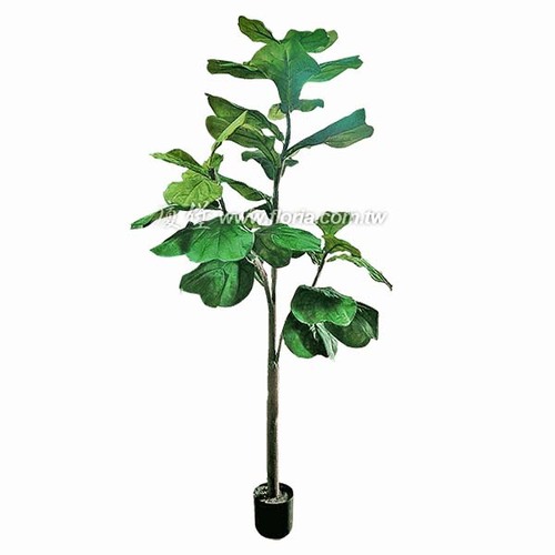 琴葉榕樹150cm  |人造植栽|人造樹