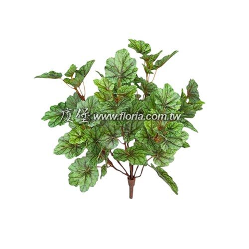 珊瑚鈴(綠)產品圖