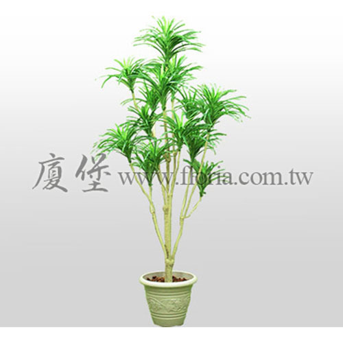 金線千年木  |人造植栽|人造樹