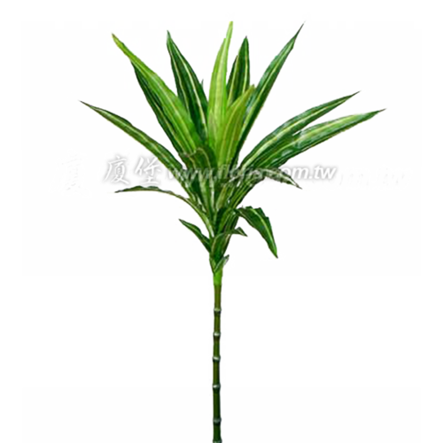 開運竹 (綠/黃)  |人造植栽|人造植物 / 植栽