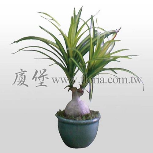 迷你金線酒瓶蘭含盆  |人造植栽|人造植物 / 植栽