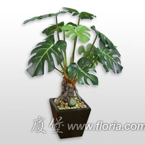 電信蘭  |人造植栽|人造植物 / 植栽