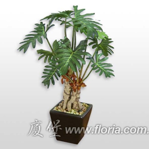 羽葉蔓綠絨  |人造植栽|人造植物 / 植栽