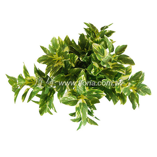 迷你黃金葛  |人造植栽|人造植物 / 植栽