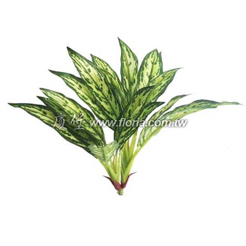 迷你斑點粗肋草  |人造植栽|人造植物 / 植栽