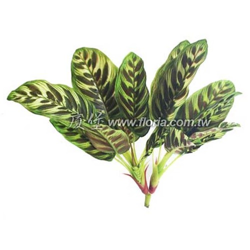 迷你孔雀草  |人造植栽|人造植物 / 植栽