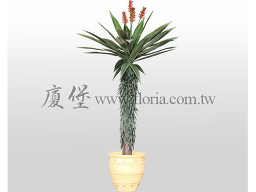 霸王蘭  |人造植栽|人造樹