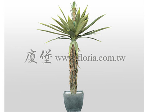 霸王蘭  |人造植栽|人造樹