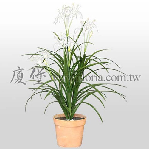 蜘蛛百合  |人造植栽|人造植物 / 植栽