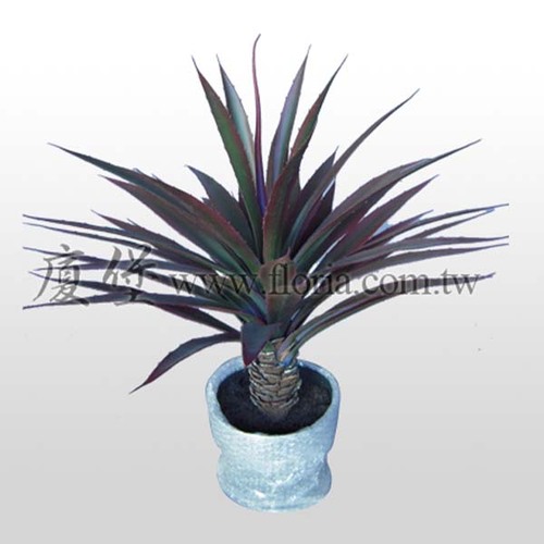 火焰龍舌蘭  |人造植栽|人造植物 / 植栽