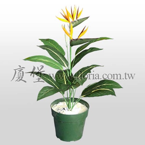 天堂鳥  |人造植栽|人造植物 / 植栽