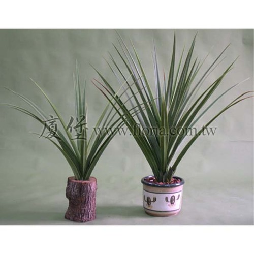 三角龍舌蘭  |人造植栽|人造植物 / 植栽