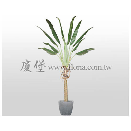 旅人蕉240cm/180cm (單面)  |人造植栽|人造樹