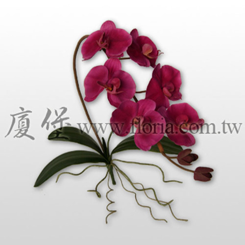 蝴蝶蘭  |人造植栽|人造花
