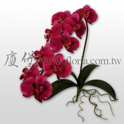 蝴蝶蘭 大  |人造植栽|人造花