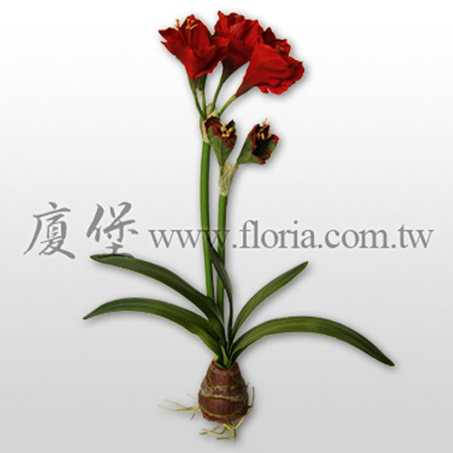 君子蘭  |人造植栽|人造花