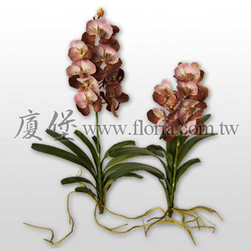 萬代蘭  |人造植栽|人造花