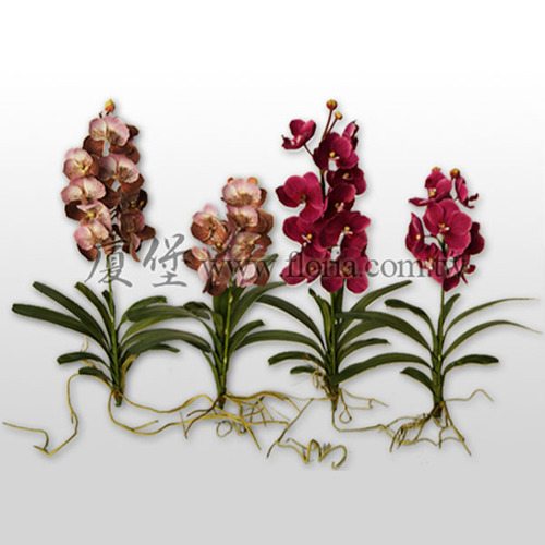 萬代蘭  |人造植栽|人造花