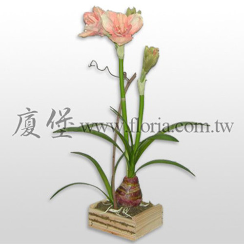 君子蘭(盆)  |人造植栽|人造花